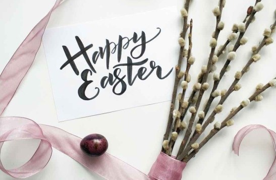 white petaled flower bouquet on white surface